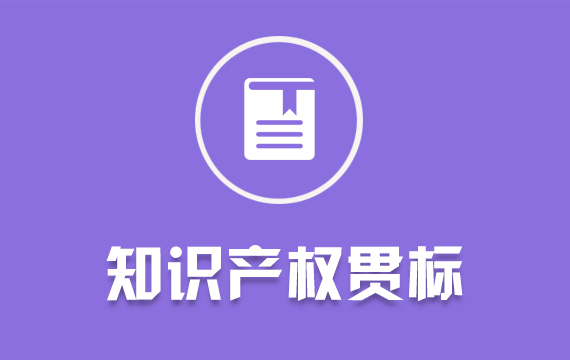 知識產(chǎn)權貫標/貫標/貫標認證/IPMS貫標申請輔導